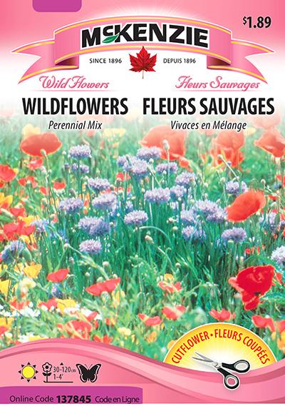 Fleurs Sauvages Vivaces Mélange / Perennial Wildflowers Mix - Pépinière
