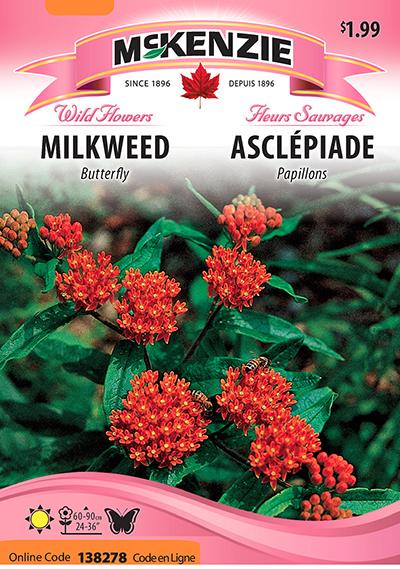 Asclépiade Papillons / Butterfly Milkweed - Pépinière