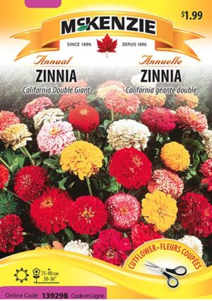 Zinnia ‘California Double Giant’ / ‘California Double Giant’ Zinnia - Pépinière