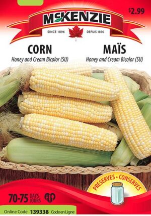 Maïs ‘Honey and Cream Bicolor’ / ‘Honey and Cream Bicolor’ Corn - Pépinière
