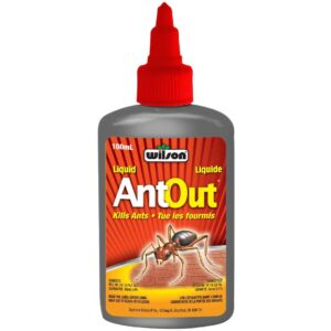 Liquide tue les fourmis AntOut® 100ml - Pépinière