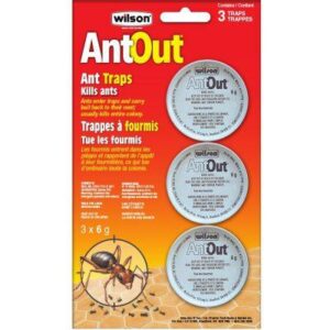 Pièges à fourmis Antout - Pépinière