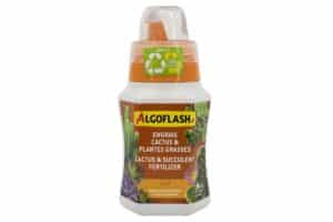 ALGOFLASH / Cacti & Succulents 5-5-7 - Pépinière