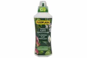ALGOFLASH / Green Plant & Flower Fertilizer 6-3-6 - Pépinière