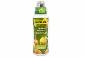ALGOFLASH / Citrus Fertilizer 7-3-6 - Pépinière