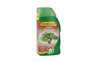 Algoflash bonsaïs - Pépinière