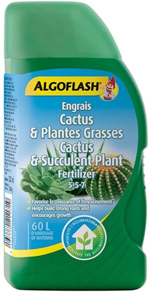 ALGOFLASH Cactus 5-5-7 250ml - Pépinière