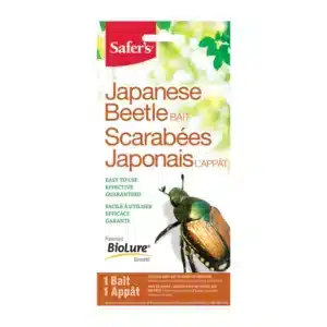 Safer’s / Appât Scarabée Japonais (1) - Pépinière