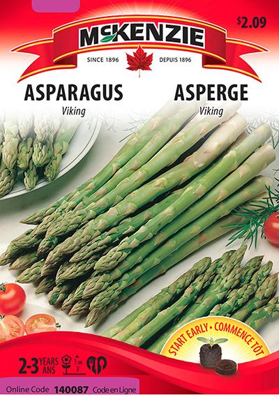 Asperge ‘Viking’ / ‘Viking’ Asparagus - Pépinière