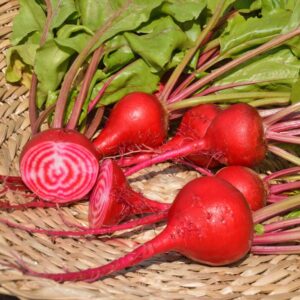Ecoumene / Chioggia beet / Biennial / Organic vegetable seeds - Pépinière