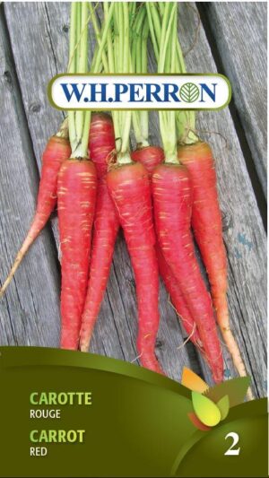 Carotte Rouge / Red Carrot - Pépinière