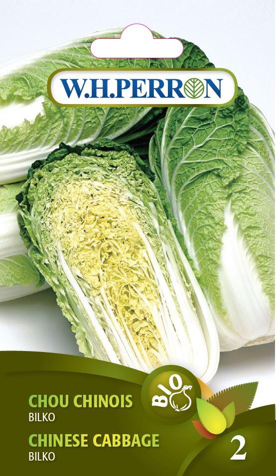 Chou Chinois ‘Bilko’ / ‘Bilko’ Chinese Cabbage - Pépinière