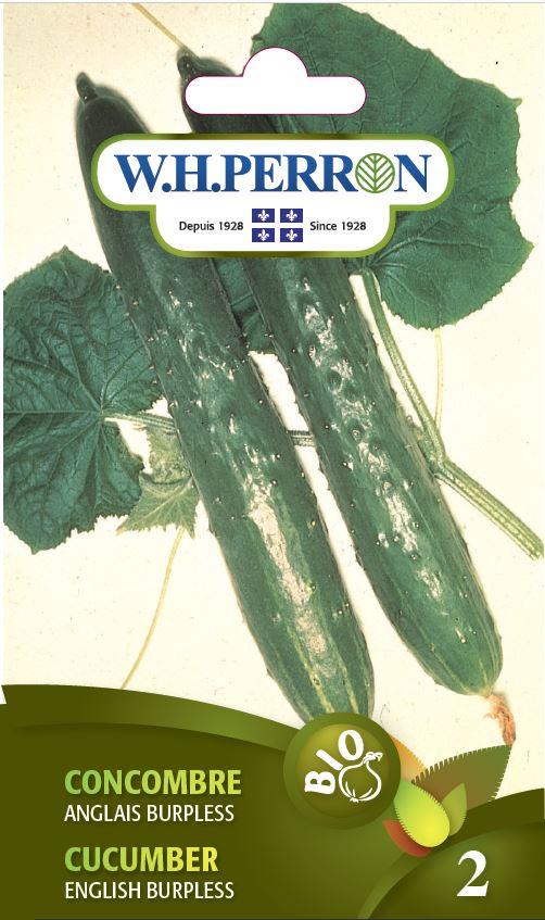 Concombre Anglais ‘Burpless’ Bio / ‘Burpless’ English Cucumber Bio - Pépinière