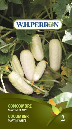 Cucumber ‘Martini Blanc’ / Untreated Seed - Pépinière