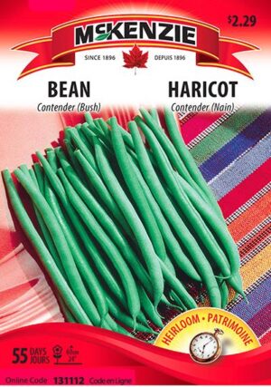 Haricot ‘Contender’ – Bean - Pépinière