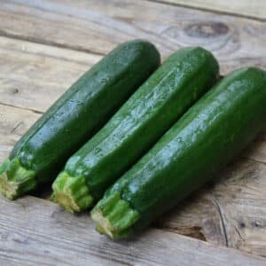 Ecoumene / Zucchini ‘Dark Green’ / Annual Type / Organic Seeds - Pépinière