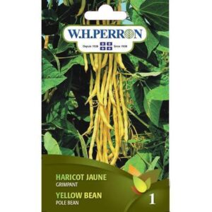 Haricot Jaune Grimpant / Yellow Bean Pole - Pépinière