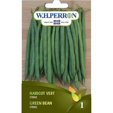 Haricot Vert ‘Strike’ / ‘Strike’ Green Bean - Pépinière