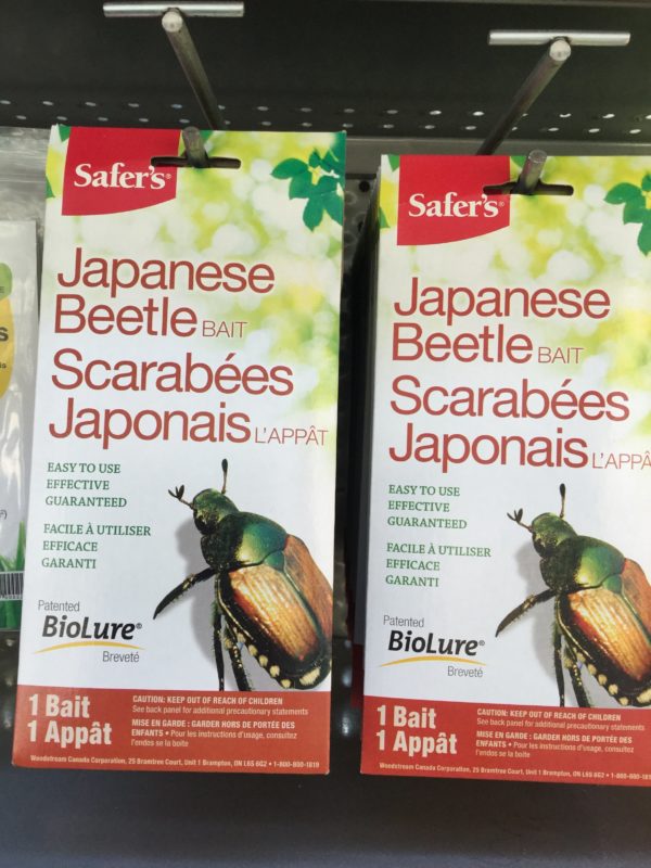 L’appât à scarabées japonais - Pépinière