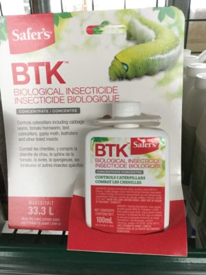 BTK Insecticide biologique - Pépinière