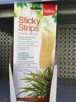 Pièges insectes Sticky Strips - Pépinière