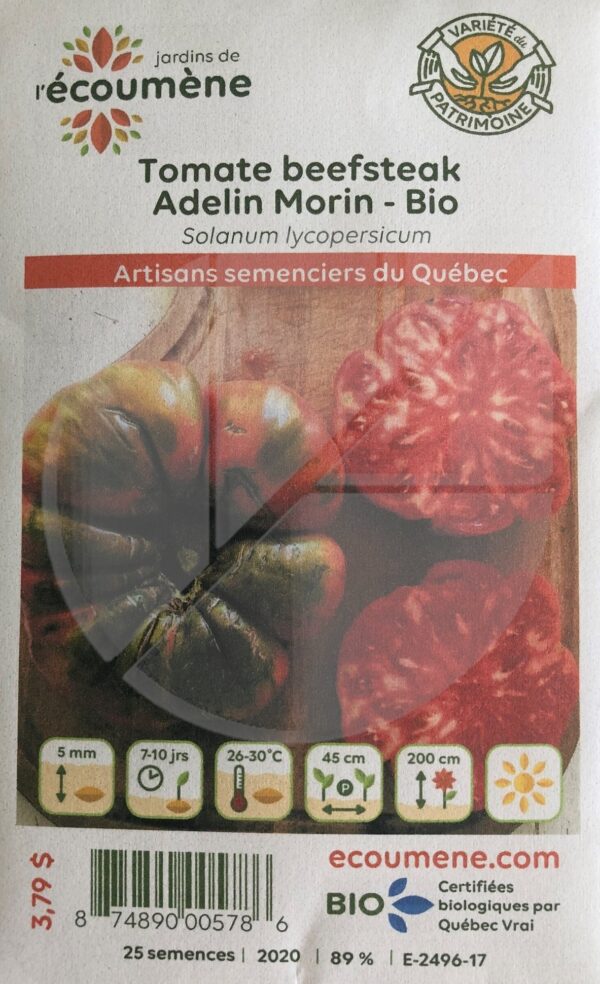 Tomate Beefsteak Adelin Morin Bio - Pépinière