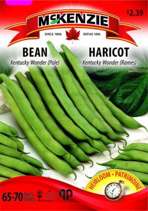 Haricot ‘Kentucky Wonder’ / ‘Kentucky Wonder’ Bean - Pépinière