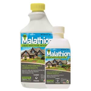 Superior / Malathion Insecticide, Miticide concentré - Pépinière