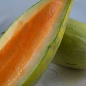 Ecoumene / Banana Melon / Annual Type / Organic Seeds - Pépinière