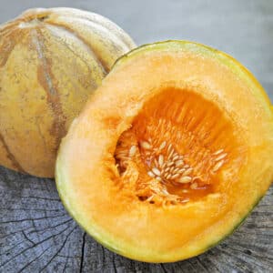 Écoumène / Melon Brodé d’Oka / Type Annuel / Semences Bio - Pépinière