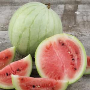 Ecoumene / Watermelon ‘King and Queen Winter’ / Annual Type / Organic Seeds - Pépinière