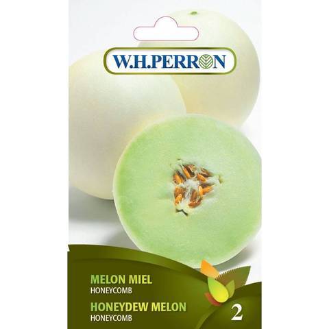 Melon Miel ‘Honeycomb’ / ‘Honeycomb’ Honeydew - Pépinière