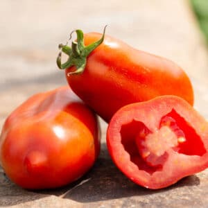 Écoumène / Tomate Italienne ‘San Marzano’ / Type Annuel / Semences Bio - Pépinière