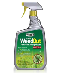 Wilson / Herbicide pour Pelouse 1L Prêt à L’Emploi - Pépinière