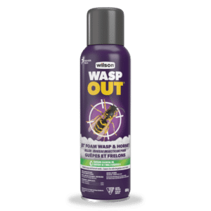 Wilson / Insecticidal Foam for Wasps and Hornets 450g - Pépinière