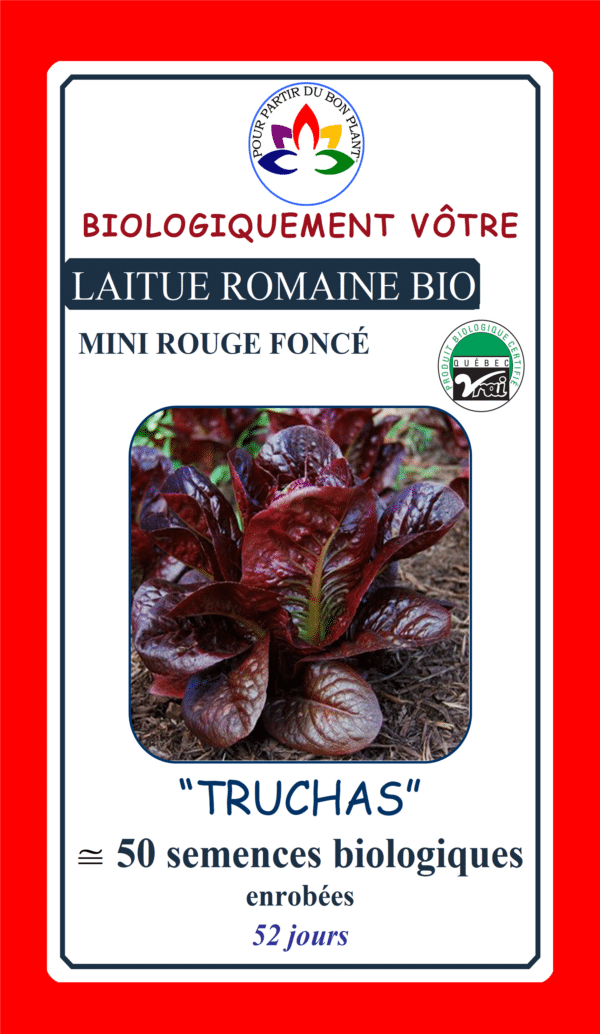 Organic Mini Romaine Lettuce ‘Truchas’ - Pépinière