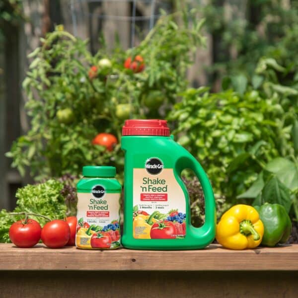 Miracle Gro / 10-5-15 Fertilizer for Tomatoes, Fruits & Vegetables / Shake’n Feed - Pépinière