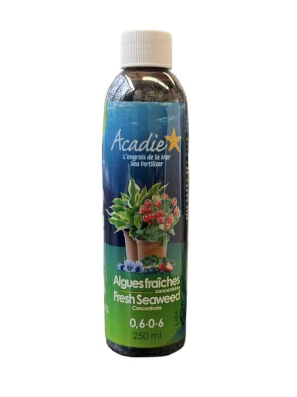 Acadia / Concentrated Fresh Seaweed 0.6-0-6 - Pépinière