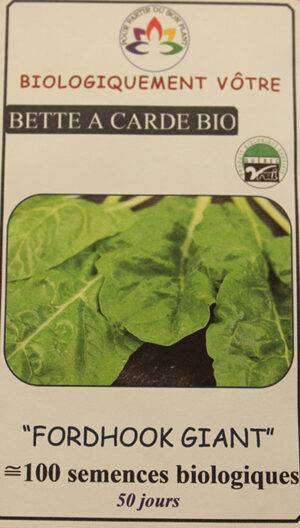 Bette à Carde Verte ‘Fordhock’ Bio / ‘Fordhock’ Swiss Chard Bio - Pépinière