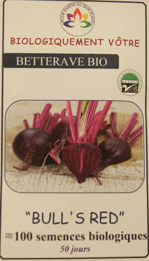 Betterave ‘Bull’s Red’ Bio / ‘Bull’s Red’ Beet Bio - Pépinière