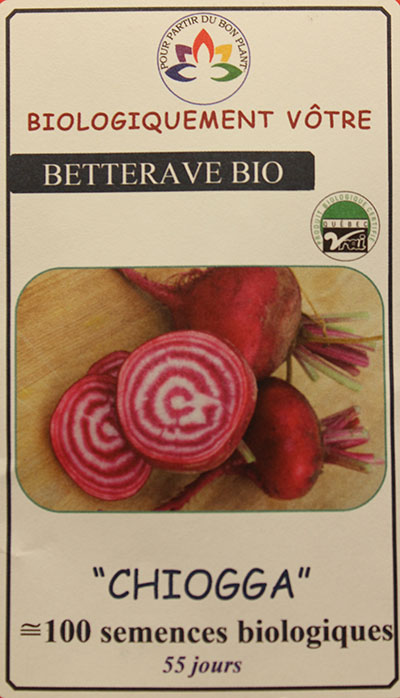 Betterave ‘Chiogga’ Bio / ‘Chiogga’ Beet Bio - Pépinière