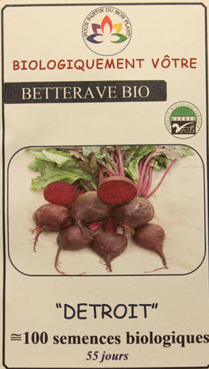 Betterave ‘Detroit’ Bio / ‘Detroit’ Beet Bio - Pépinière
