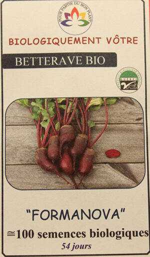 Betterave ‘Formanova’ Bio / ‘Formanova’ Beet Bio - Pépinière