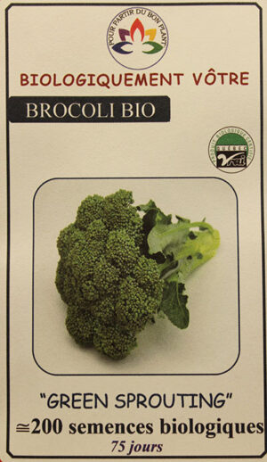 Brocoli ‘Green Sprouting’ Bio / ‘Green Sprouting’ Broccoli Bio - Pépinière