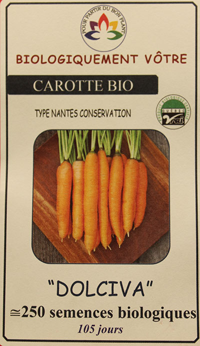 Carotte ‘Dolciva’ Bio / ‘Dolciva’ Carrot Bio - Pépinière