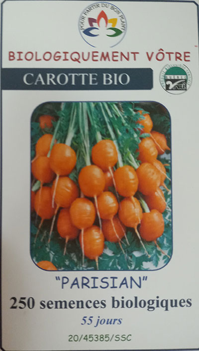 Carotte ‘Parisian’ Bio / ‘Parisian’ Carrot Bio - Pépinière