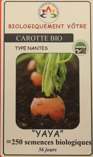 Carotte ‘Yaya’ Bio / ‘Yaya’ Carrot Bio - Pépinière