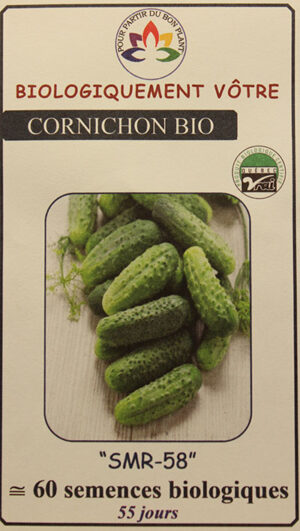 Cornichon ‘SMR-58’ Bio / ‘SMR-58’ Pickle Bio - Pépinière