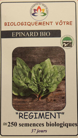 Épinard ‘Regiment’ Bio / ‘Regiment’ Spinach Bio - Pépinière