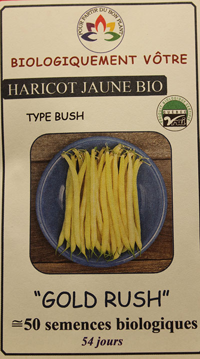 Haricot Jaune ‘Gold Rush’ Bio / ‘Gold Rush’ Yellow Bean Bio - Pépinière